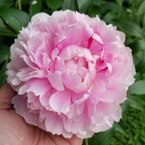 Meet your Posher, Heather